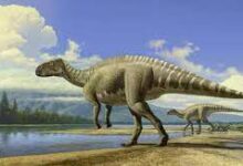 نهاية الديناصورات من على سطح الأرض